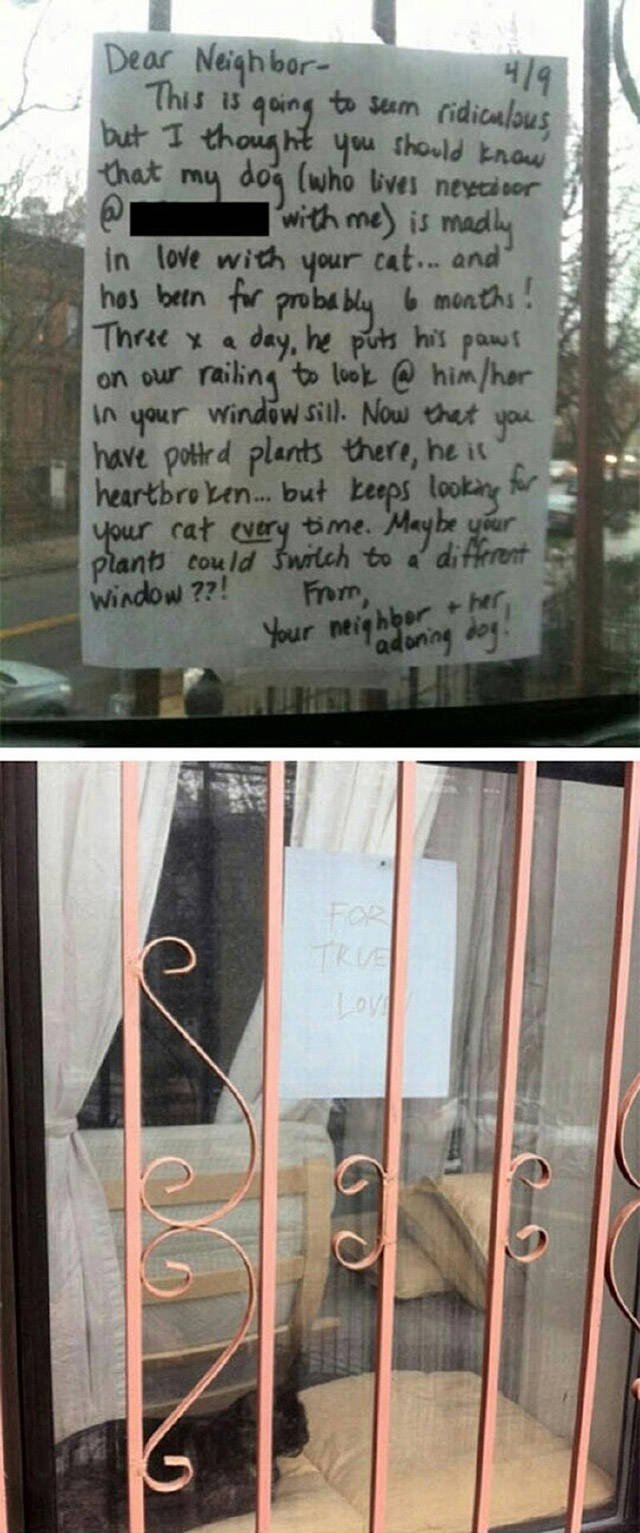 Bildschirmarbeiter - Picdump 02.12.2016 - NACHSCHLAG