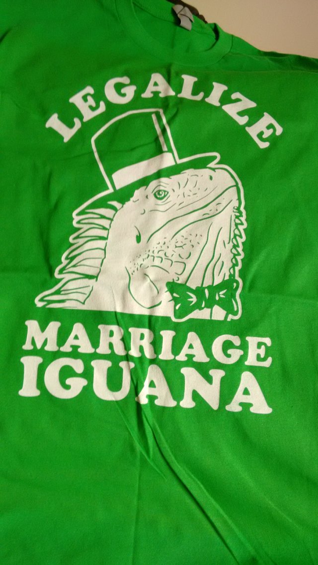 Bildschirmarbeiter - Picdump 02.12.2016 - NACHSCHLAG