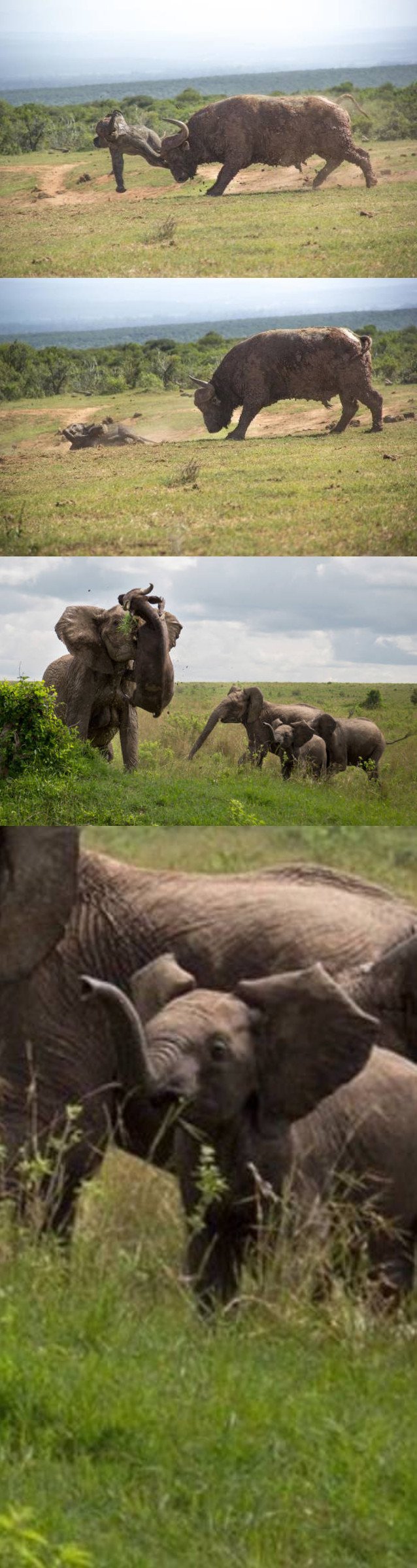 Bildschirmarbeiter - Picdump 02.12.2016 - NACHSCHLAG