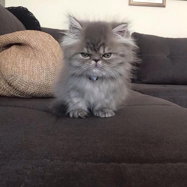 Bildschirmarbeiter - Picdump 02.12.2016 - NACHSCHLAG