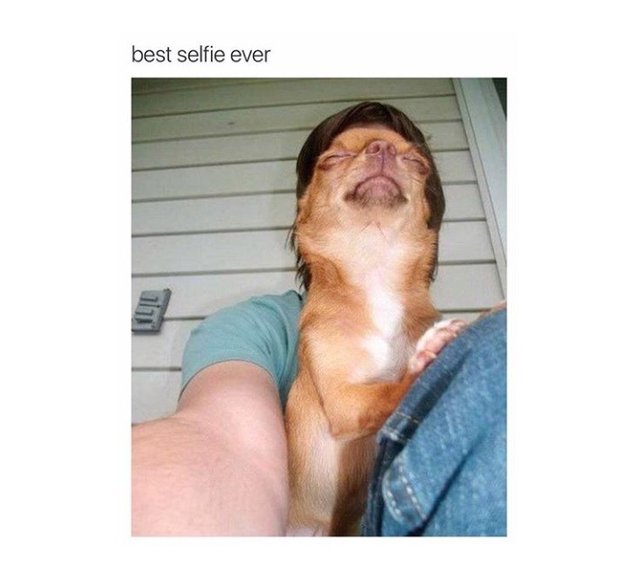 Bildschirmarbeiter - Picdump 02.12.2016