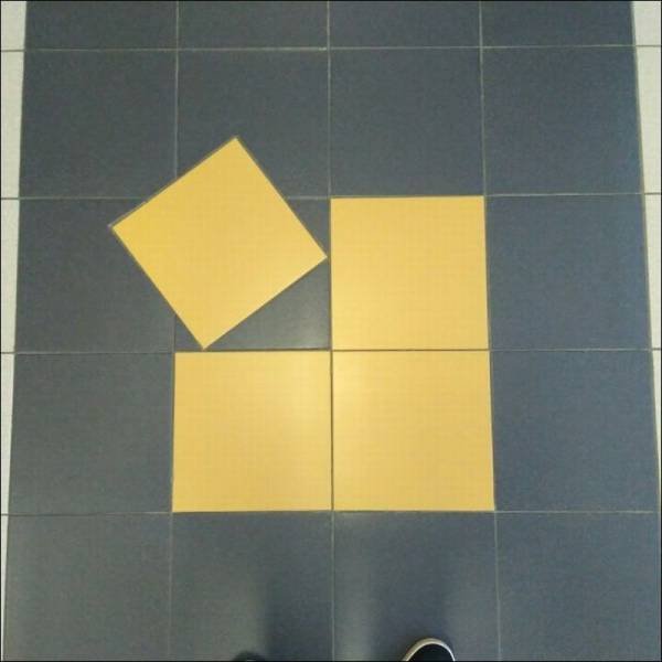 Bildschirmarbeiter - Picdump 02.12.2016