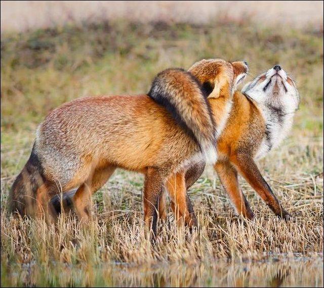 Bildschirmarbeiter - Picdump 02.12.2016