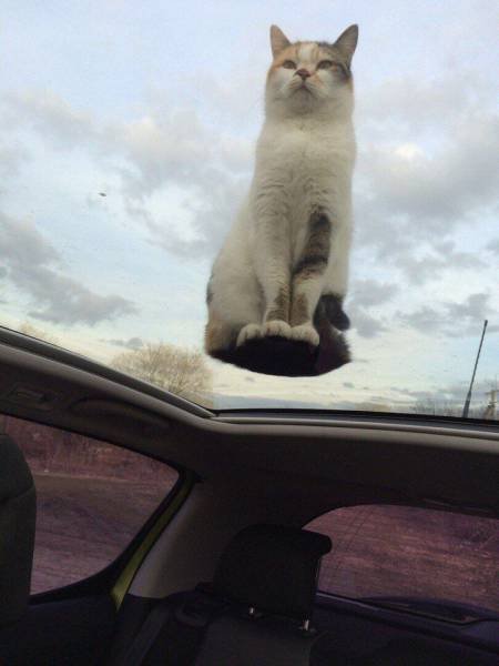 Bildschirmarbeiter - Picdump 02.12.2016