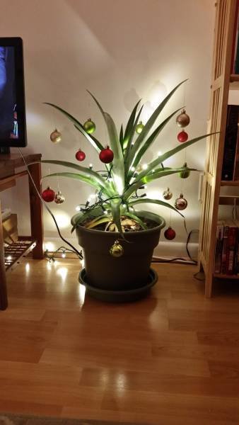 Bildschirmarbeiter - Picdump 02.12.2016