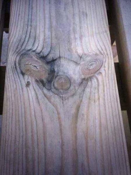 Bildschirmarbeiter - Picdump 02.12.2016