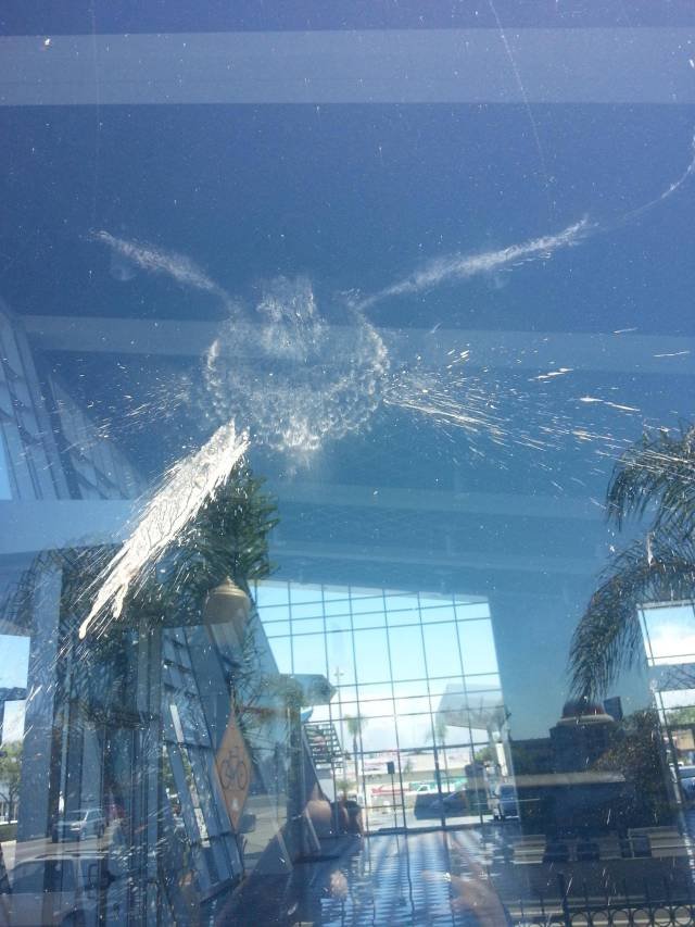 Bildschirmarbeiter - Picdump 02.12.2016