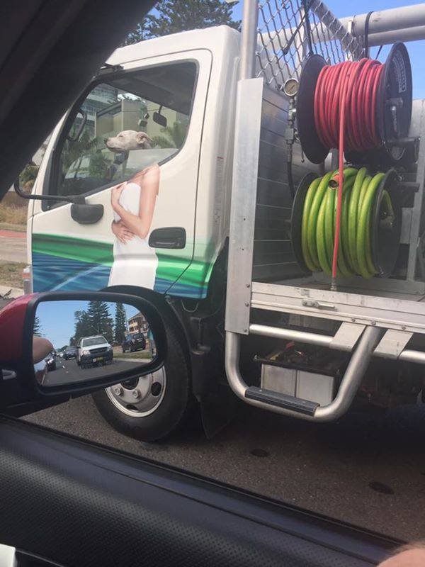 Bildschirmarbeiter - Picdump 02.12.2016