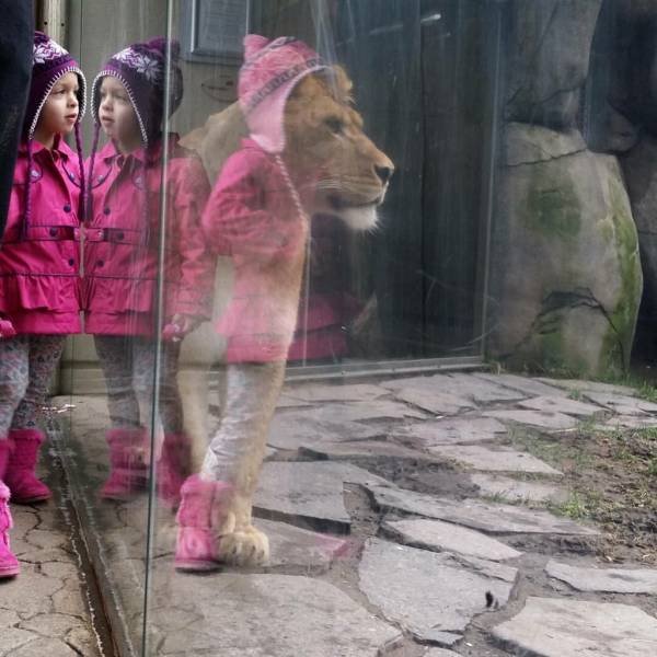 Bildschirmarbeiter - Picdump 02.12.2016