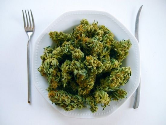 Bildschirmarbeiter - Picdump 02.12.2016