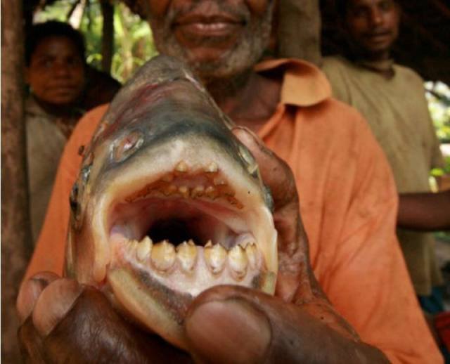 Bildschirmarbeiter - Picdump 09.12.2016 - NACHSCHLAG