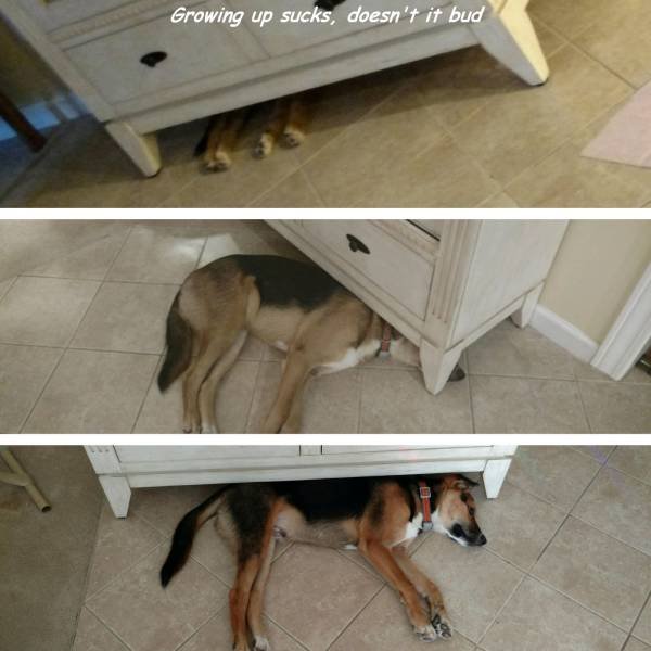 Bildschirmarbeiter - Picdump 09.12.2016 - NACHSCHLAG