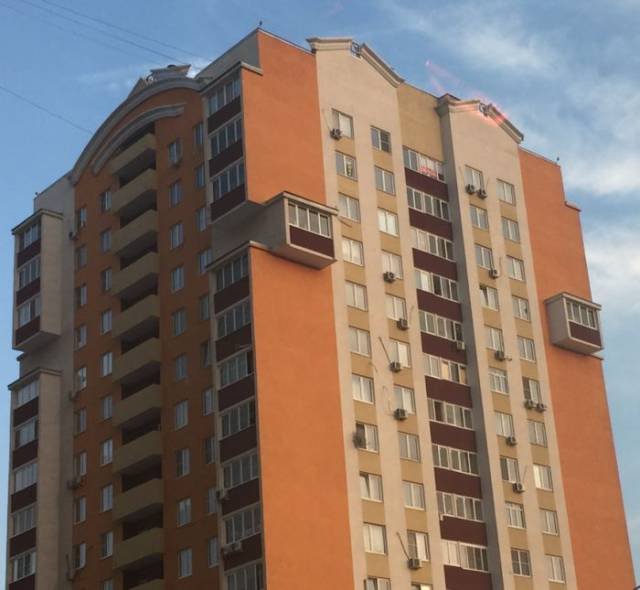 Bildschirmarbeiter - Picdump 09.12.2016 - NACHSCHLAG