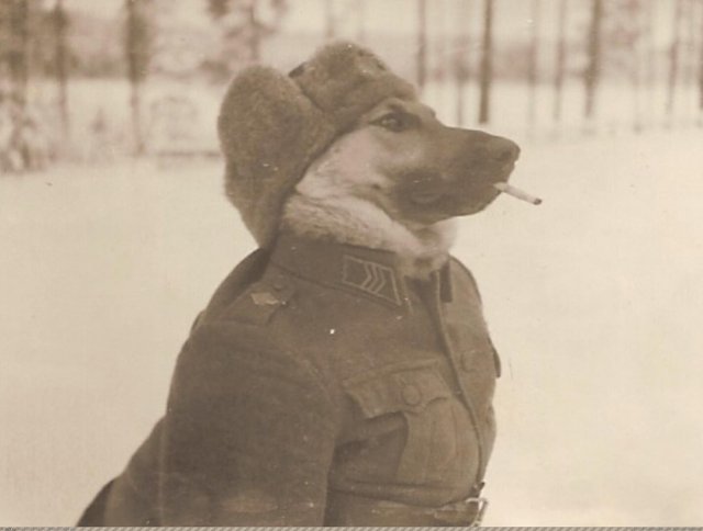 Bildschirmarbeiter - Picdump 09.12.2016 - NACHSCHLAG