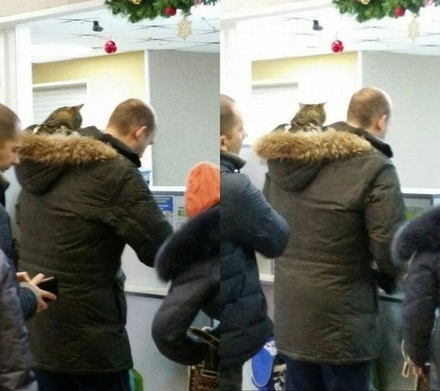 Bildschirmarbeiter - Picdump 09.12.2016