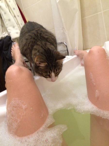 Bildschirmarbeiter - Picdump 09.12.2016