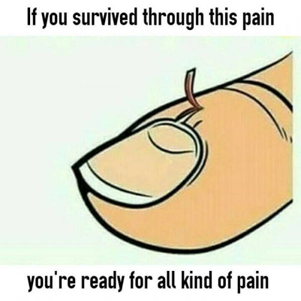 Bildschirmarbeiter - Picdump 09.12.2016