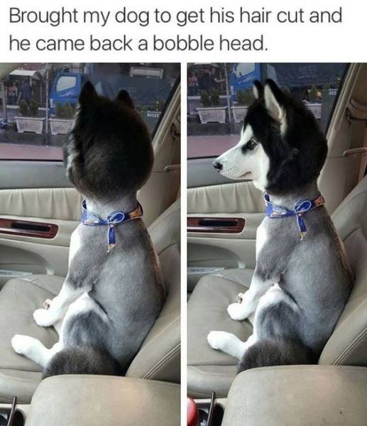 Bildschirmarbeiter - Picdump 09.12.2016