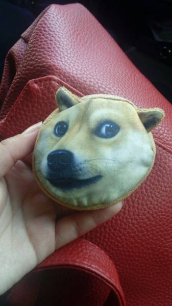 Bildschirmarbeiter - Picdump 09.12.2016