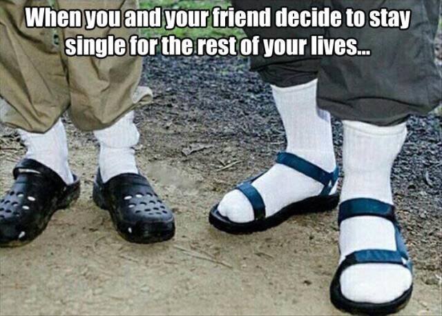 Bildschirmarbeiter - Picdump 09.12.2016