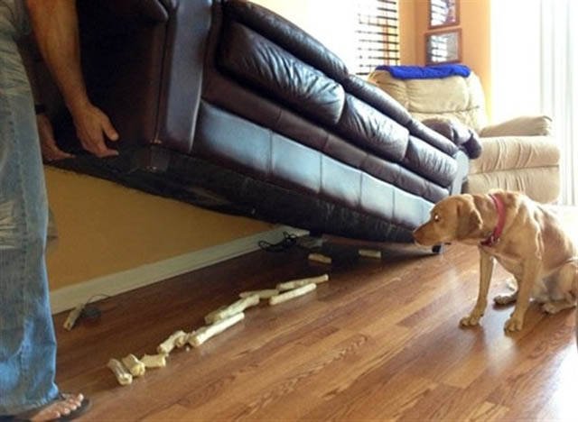 Bildschirmarbeiter - Picdump 09.12.2016