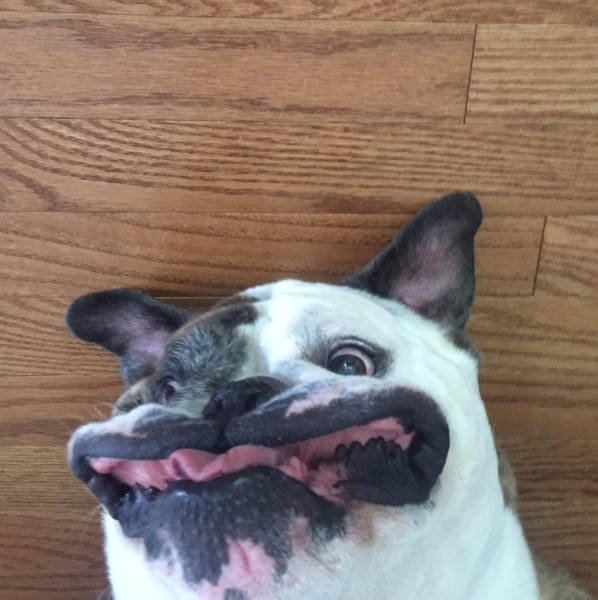 Bildschirmarbeiter - Picdump 09.12.2016