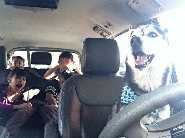 Bildschirmarbeiter - Picdump 09.12.2016