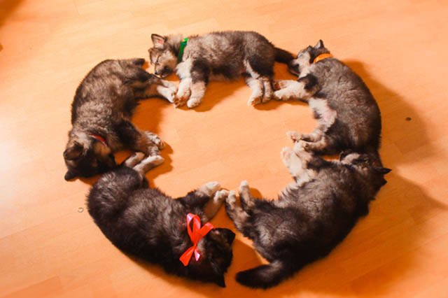 Bildschirmarbeiter - Picdump 09.12.2016