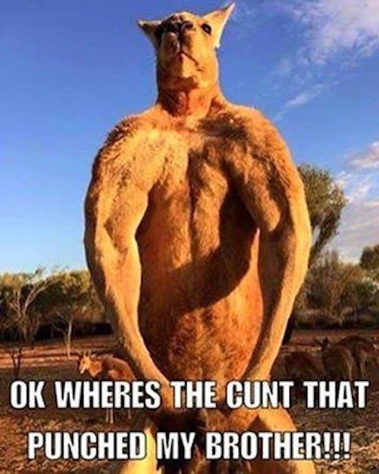 Bildschirmarbeiter - Picdump 09.12.2016