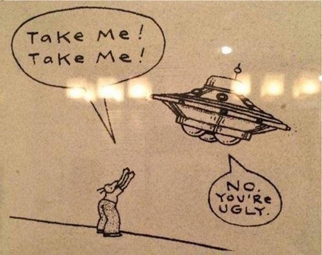 Bildschirmarbeiter - Picdump 09.12.2016