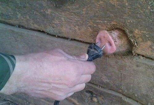 Bildschirmarbeiter - Picdump 16.12.2016 - NACHSCHLAG