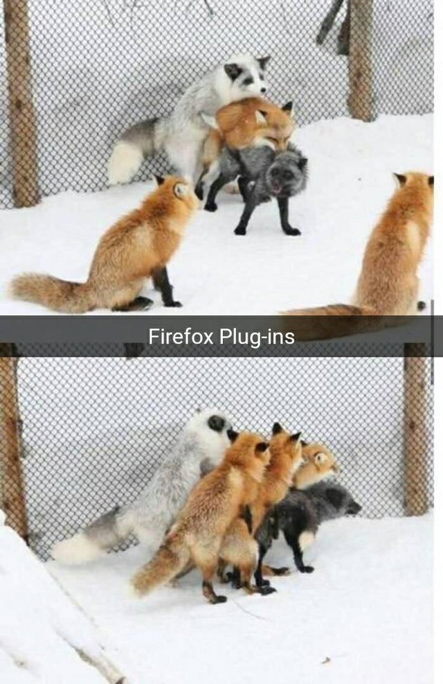 Bildschirmarbeiter - Picdump 16.12.2016 - NACHSCHLAG