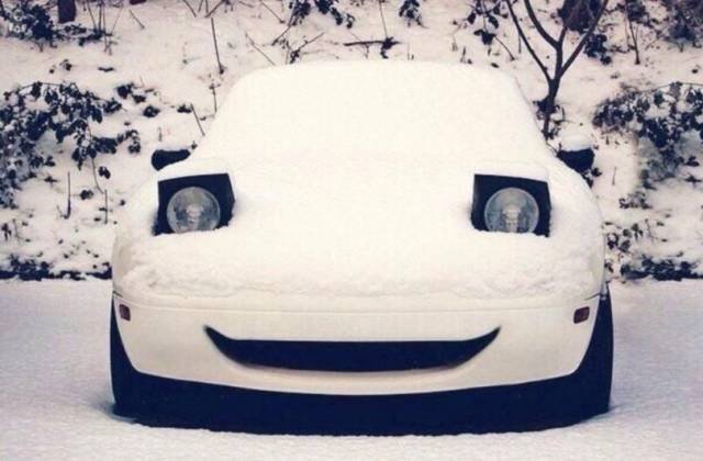 Bildschirmarbeiter - Picdump 16.12.2016 - NACHSCHLAG