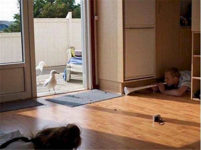 Bildschirmarbeiter - Picdump 16.12.2016 - NACHSCHLAG