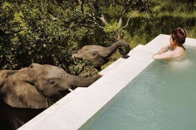 Bildschirmarbeiter - Picdump 16.12.2016 - NACHSCHLAG