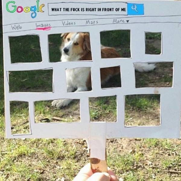 Bildschirmarbeiter - Picdump 16.12.2016 - NACHSCHLAG