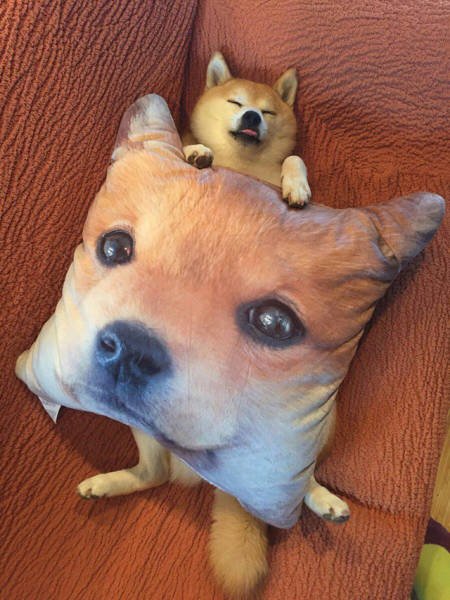 Bildschirmarbeiter - Picdump 16.12.2016 - NACHSCHLAG