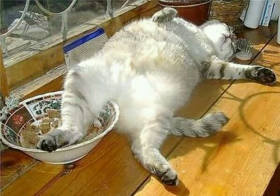 Bildschirmarbeiter - Picdump 16.12.2016 - NACHSCHLAG