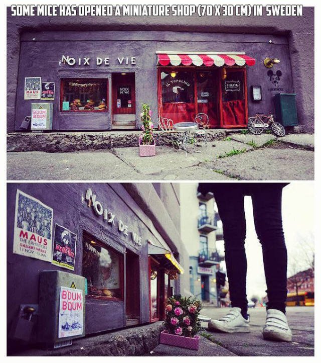 Bildschirmarbeiter - Picdump 16.12.2016 - NACHSCHLAG