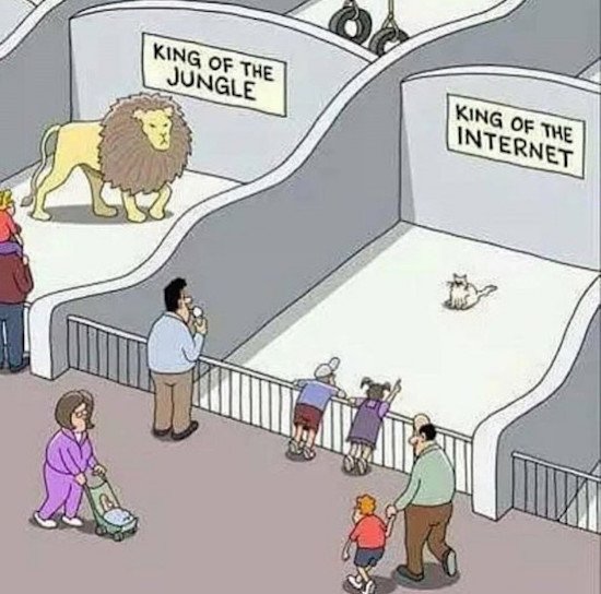 Bildschirmarbeiter - Picdump 16.12.2016 - NACHSCHLAG