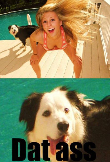 Bildschirmarbeiter - Picdump 16.12.2016 - NACHSCHLAG