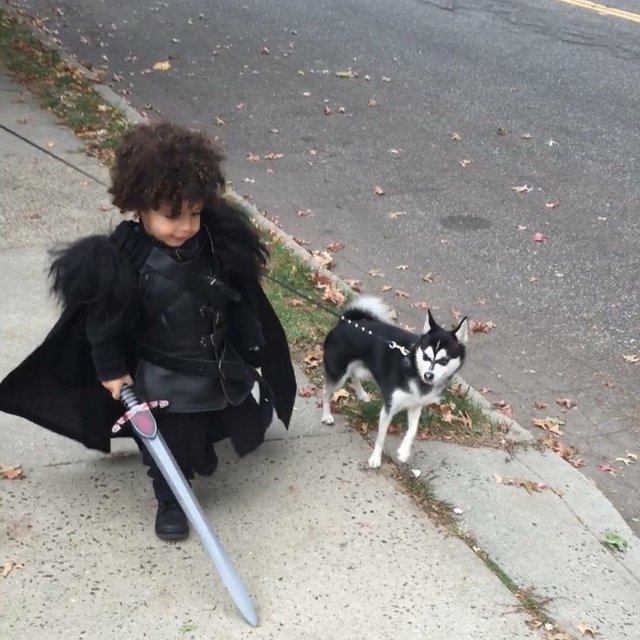 Bildschirmarbeiter - Picdump 16.12.2016