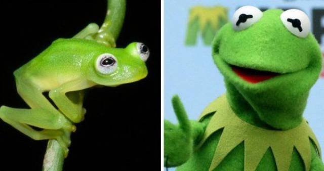 Bildschirmarbeiter - Picdump 16.12.2016