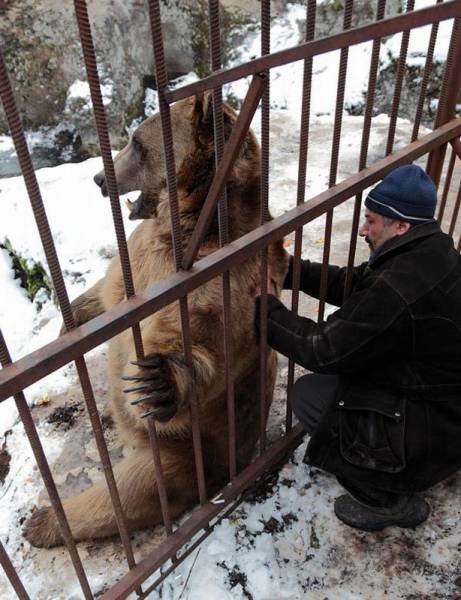 Bildschirmarbeiter - Picdump 16.12.2016