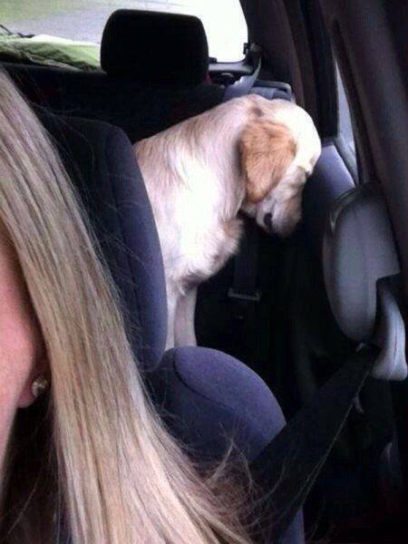 Bildschirmarbeiter - Picdump 16.12.2016