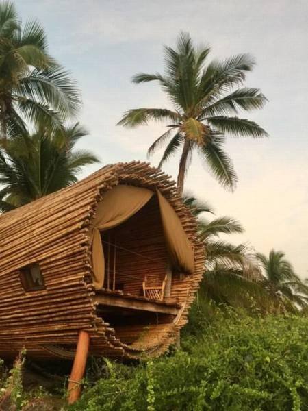 Bildschirmarbeiter - Picdump 16.12.2016