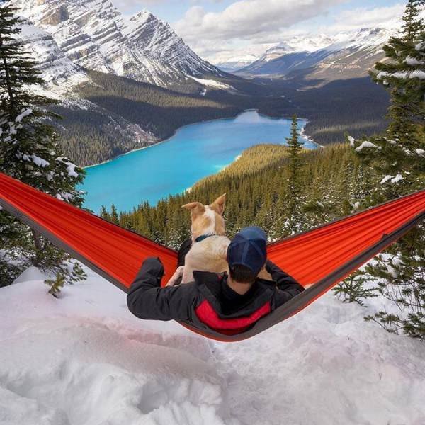 Bildschirmarbeiter - Picdump 16.12.2016