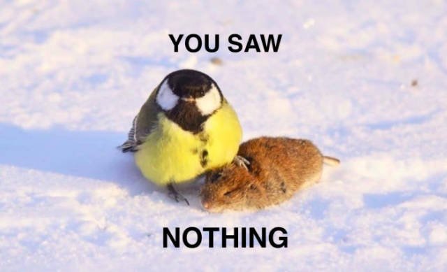 Bildschirmarbeiter - Picdump 16.12.2016