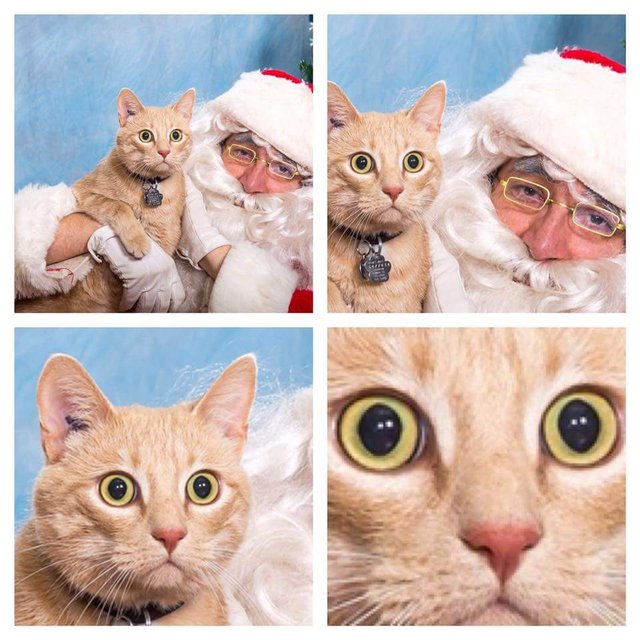 Bildschirmarbeiter - Picdump 16.12.2016