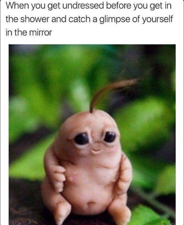 Bildschirmarbeiter - Picdump 23.12.2016